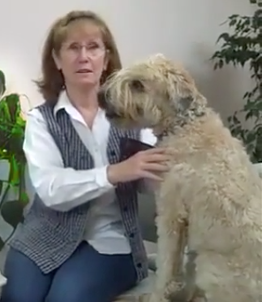 Animal Hospital Geneva, Veterinarian Geneva, Vétérinaire de Garde Mies , Vétérinaire de Garde Nyon, Vétérinaire de Garde Vaud, Vétérinaire de Garde Gland, Vétérinaire de Garde Morges, Vétérinaire de Garde Lausanne, Vétérinaire de Garde Genève, veterinaire de Garde Geneve