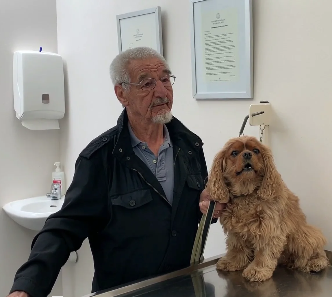 Veterinarian near me, Animal hospital Geneva, Geneva Animal hospital,Veterinary clinic Geneva, Geneva Veterinary clinic,Veterinary clinic near me, Veterinary hospital Geneva, Geneva Veterinary hospital, Pet care Geneva, Geneva Pet care, Petcare Geneva, Geneva Petcare, Vet hospital Geneva, Geneva Vet hospital