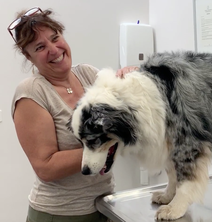 Veterinarian near me, Animal hospital Geneva, Geneva Animal hospital,Veterinary clinic Geneva, Geneva Veterinary clinic,Veterinary clinic near me, Veterinary hospital Geneva, Geneva Veterinary hospital, Pet care Geneva, Geneva Pet care, Petcare Geneva, Geneva Petcare, Vet hospital Geneva, Geneva Vet hospital