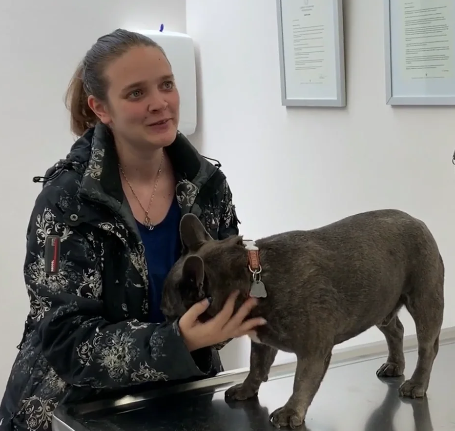 Veterinarian near me, Animal hospital Geneva, Geneva Animal hospital,Veterinary clinic Geneva, Geneva Veterinary clinic,Veterinary clinic near me, Veterinary hospital Geneva, Geneva Veterinary hospital, Pet care Geneva, Geneva Pet care, Petcare Geneva, Geneva Petcare, Vet hospital Geneva, Geneva Vet hospital