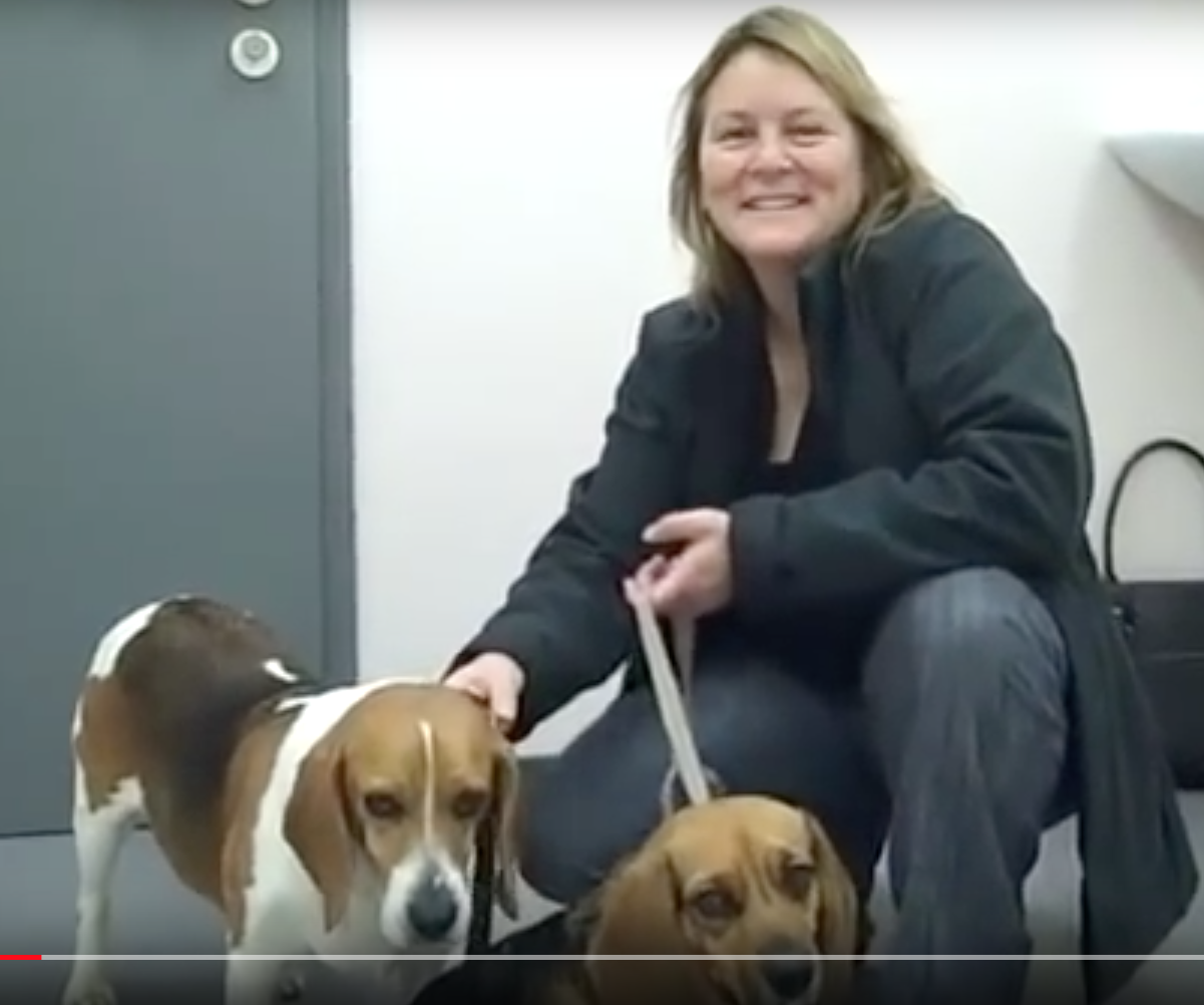  vétérinaire Mies, vétérinaire Genève, vétérinaire Nyon, vétérinaire Versoix, vétérinaire Commugny